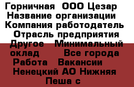 Горничная. ООО Цезар › Название организации ­ Компания-работодатель › Отрасль предприятия ­ Другое › Минимальный оклад ­ 1 - Все города Работа » Вакансии   . Ненецкий АО,Нижняя Пеша с.